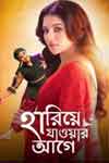 Hariye Jaoar Aage zee5 ott releases movie streaming online